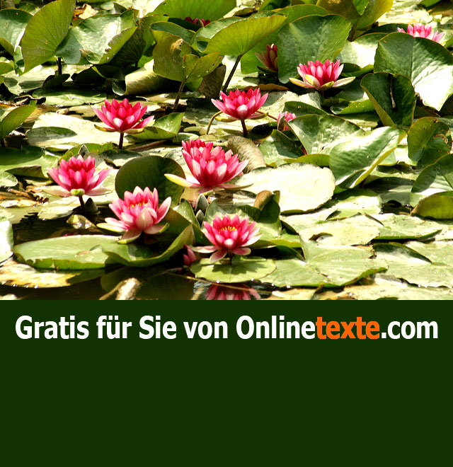 Blindtext gratis von Onlinetexte.com